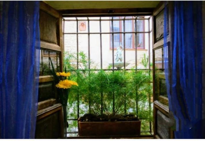 Habitacion En Casa Con Encanto, Ubeda エクステリア 写真